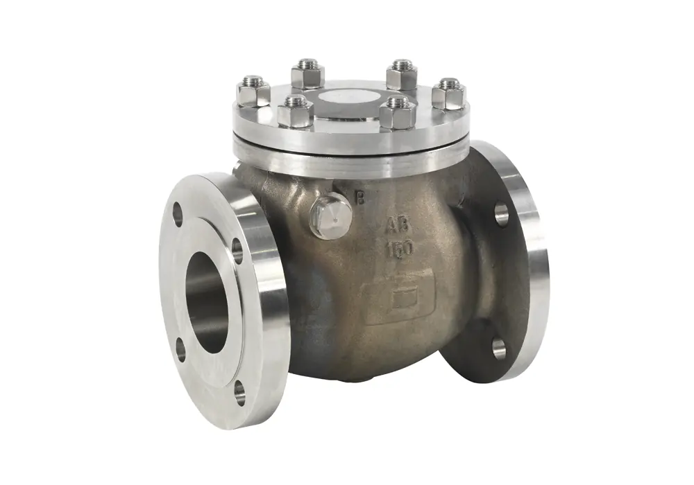 Shipham swing check valve